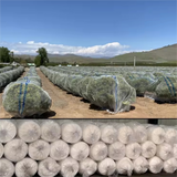 Anti Bee Net