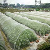 Anti Bee Net