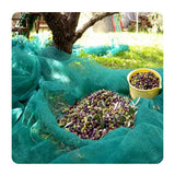 Olive Net - Olive Collection Net