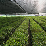 Sunshade Net - Mono Shade Net