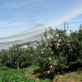 Anti-hail Net