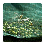 Olive Net - Olive Collection Net