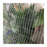 Anti Bee Net