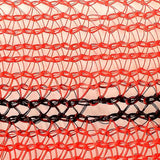 Scaffolding Net